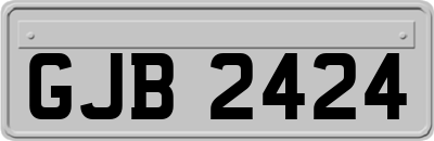 GJB2424