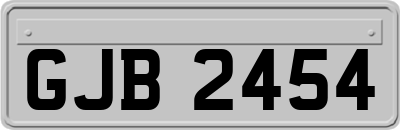 GJB2454