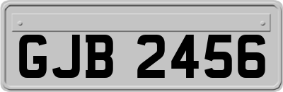 GJB2456