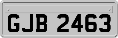 GJB2463
