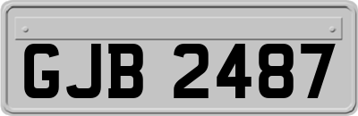 GJB2487