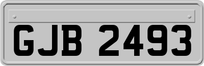 GJB2493