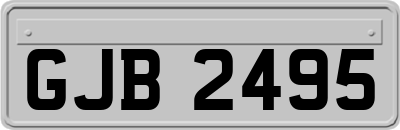 GJB2495
