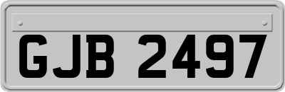 GJB2497