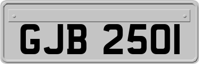 GJB2501