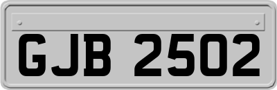 GJB2502