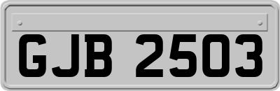 GJB2503