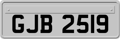 GJB2519