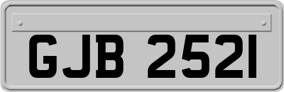 GJB2521