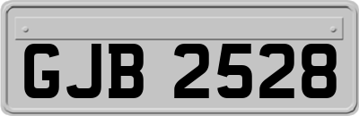 GJB2528