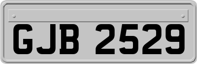 GJB2529