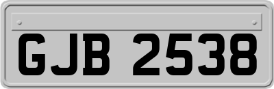GJB2538