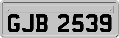 GJB2539