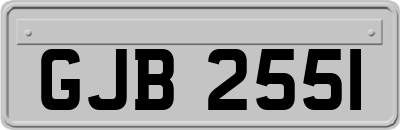 GJB2551