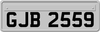 GJB2559