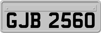 GJB2560