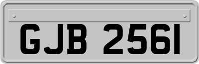 GJB2561