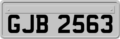 GJB2563