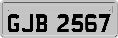 GJB2567