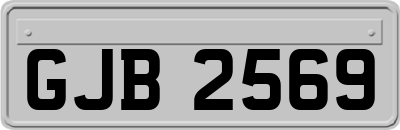 GJB2569