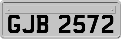 GJB2572