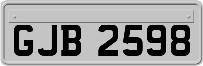 GJB2598