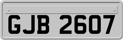 GJB2607