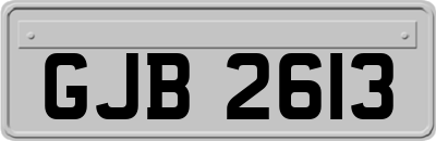GJB2613