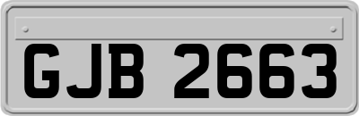 GJB2663