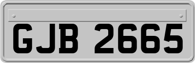 GJB2665
