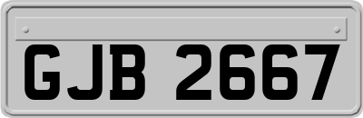 GJB2667
