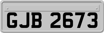 GJB2673