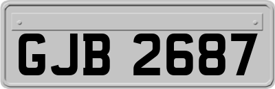 GJB2687