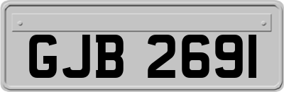 GJB2691
