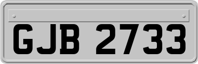 GJB2733