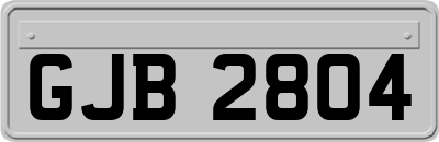 GJB2804