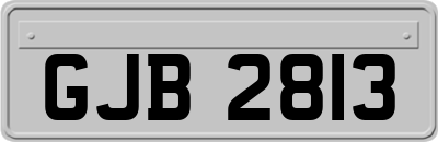 GJB2813