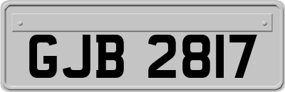 GJB2817