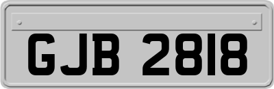 GJB2818