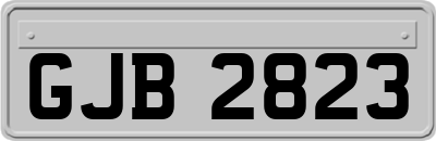 GJB2823