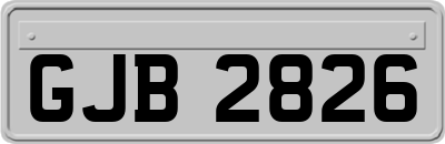GJB2826