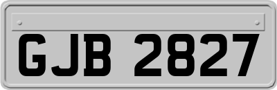 GJB2827