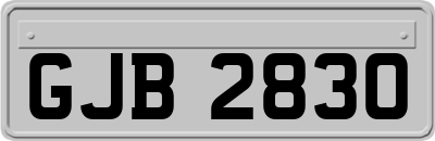 GJB2830