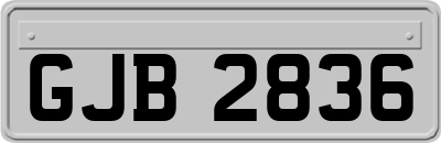 GJB2836