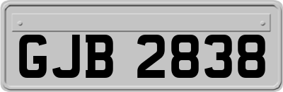 GJB2838