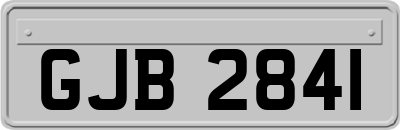 GJB2841