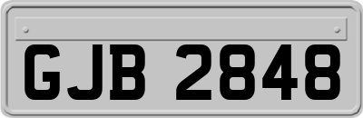 GJB2848