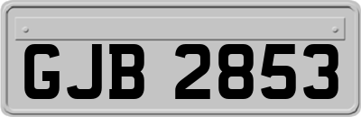 GJB2853
