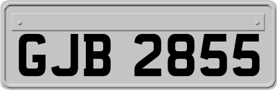 GJB2855