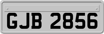 GJB2856